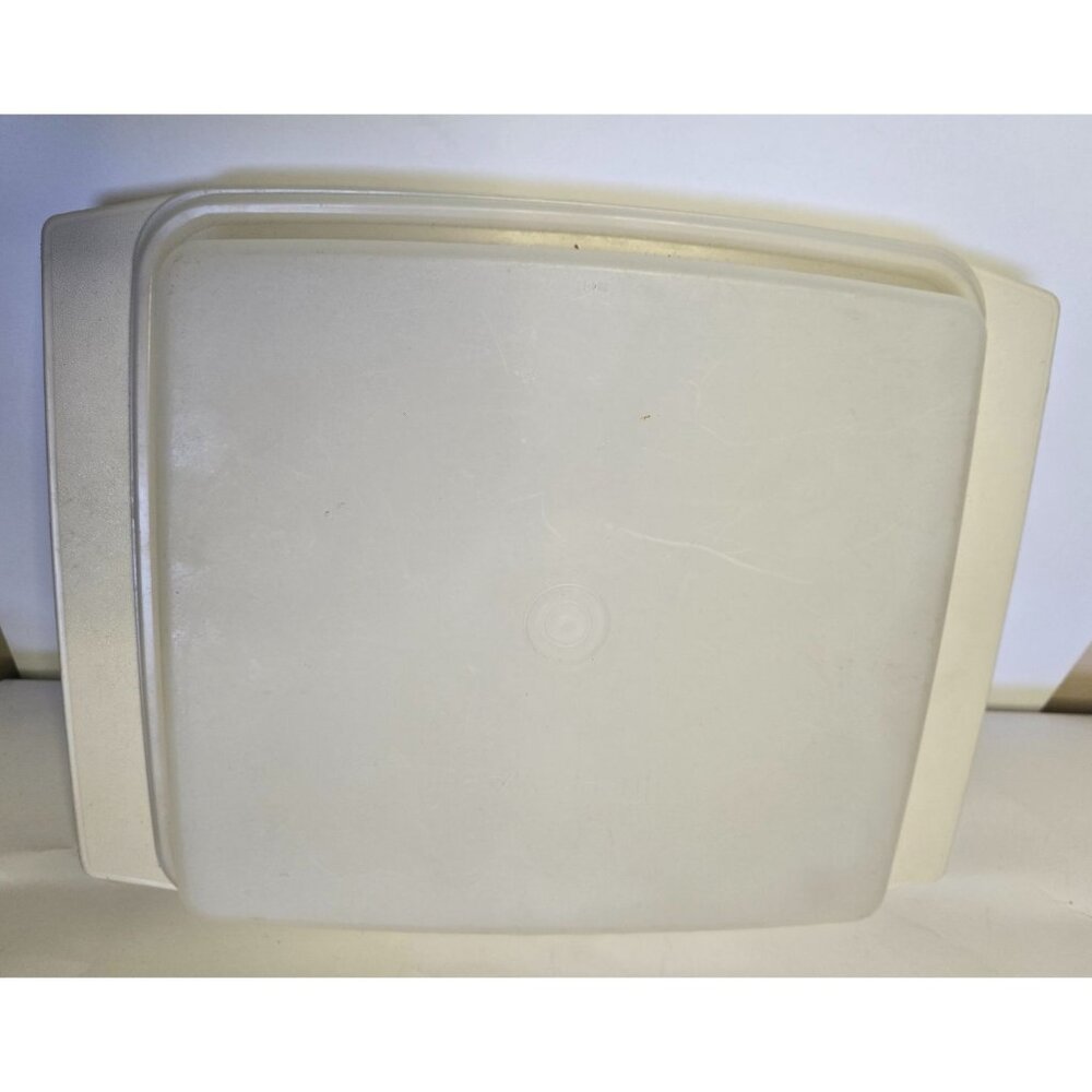 Vintage Tupperware 12in Rectangular Deviled Egg Double Compartment Container